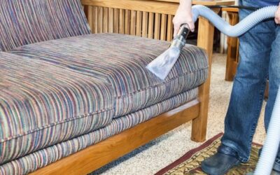 ¿Cómo limpiar el pelo de las mascotas de sofás y alfombras?
